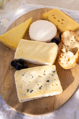 French cheese collection on marble board, emmental, carre de aurillac, petit cantal AOP Jeune, buche chevre, brie