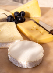 French cheese collection on marble board, emmental, carre de aurillac, petit cantal AOP Jeune, buche chevre, brie