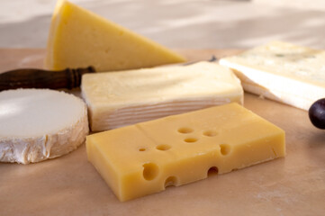 French cheese collection on marble board, emmental, carre de aurillac, petit cantal AOP Jeune, buche chevre, brie