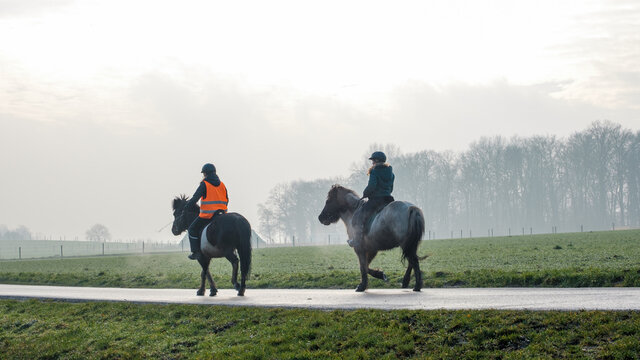 Zwei junge Frauen beim Ausritt auf Pferden im Nebel 