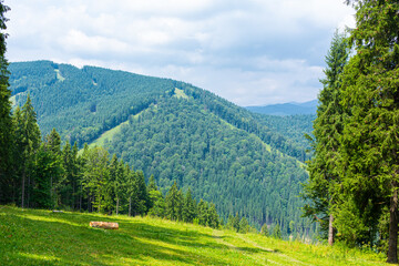 Naklejka na ściany i meble Summer nature landscape of Karpaty Mountains. a