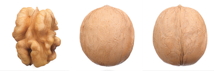 three nutritious, whole walnuts in a row on a white isolated background, macro