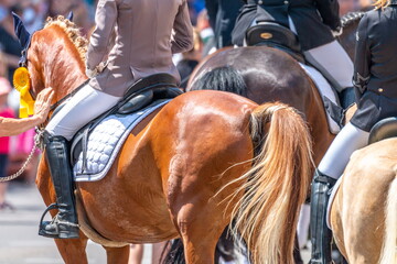 Pferdemarkt_Ludwigsburg_2018