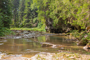 A tiny river in the mountain forest with low water waterfall. Brite summer day in mountain forest