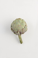 fresh artichoke on white background