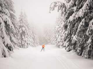 Langlauf im Winter auf der Loipe Ski fahren Skating