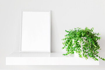 White photo frame and indoor plant on white bookshelf. Home decoration. Place for design.
