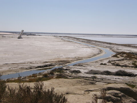 SalinDeGiraud Bilder Durchsuchen 316 Archivfotos,