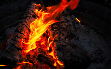 fire in the backyard