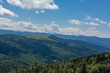 Fototapeta na wymiar Summer nature landscape of Karpaty Mountains. a