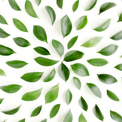 Naklejka premium Pattern, texture with green leaves isolated on white background. flat lay, top view