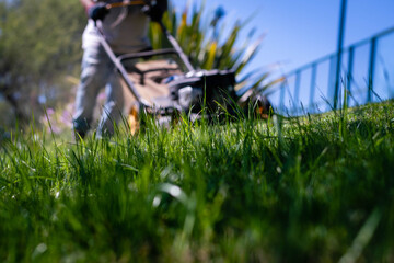 close-up of lawn mower in green park in summer gardener cordoba argentina