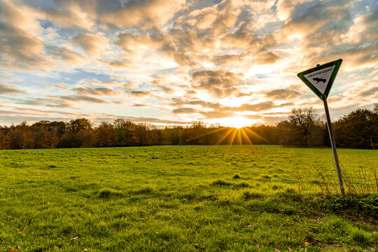Sonnenaufgang, Wiese, Naturschutzgebiet