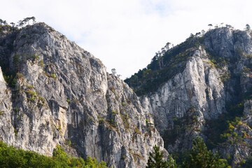 domogled mountain landscape