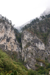 domogled mountain landscape