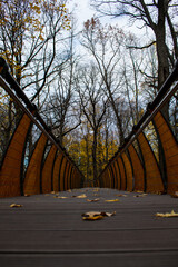 wooden bridge in autumn park