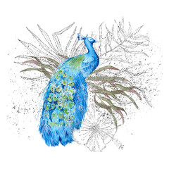 Composition with peacock and Indian decor. Isolated on a white background.