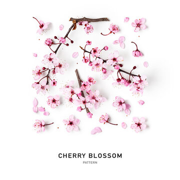 Cherry blossom, pink sakura spring flowers creative pattern.