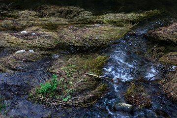 River in the countryside