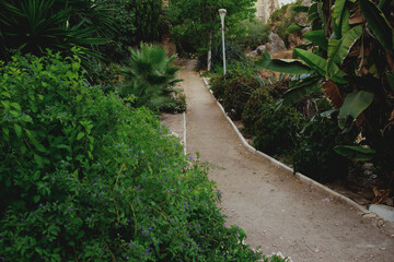 jardin