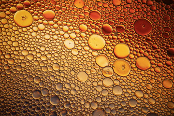 Purple and Orange Oil and Water Abstract Photo. Different sized circles of purple, orange and maroon.