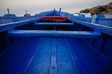interior de vaca azul