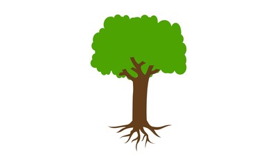 Obraz premium Tree illustration vector