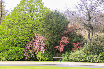 Um banco em um parque florido em Bruxelas