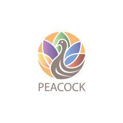 Peacock vector illustration color line logo circle design template