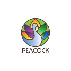 Peacock vector illustration color line logo circle design template