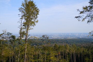 forest in Taunus mountains, Germany, green hills, in the distance you can see the buildings of the city of Frankfurt, the concept of wild untouched nature, ecology, tourism, travel