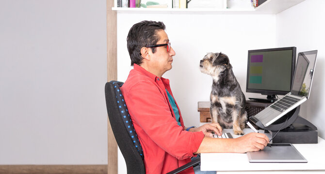 Latino freelancer man working on his computer with external monitor and graphic tablet while his dog watches him attentively. Telecommuting home study