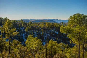 autumn landscape with trees
