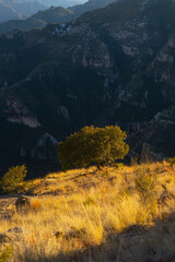 autumn landscape in the mountains