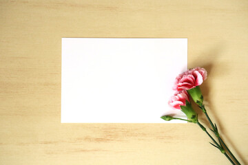 カーネーションとカード 2