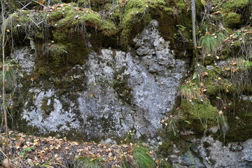 The texture of the rock. Mountain cliff of rock surface. Natural cave wall.