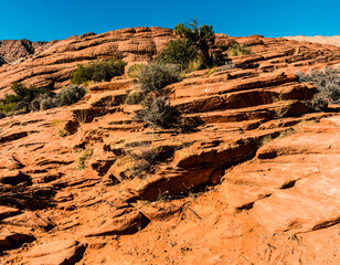 Patterns of Erosion in Petrified Sand Dunes With Red Mountain In The Distance, Snow Canyon State Park, Utah, USA