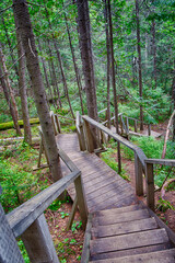 Walking trail at the Aiguebelle Park, Abitibi, Quebec, Canada