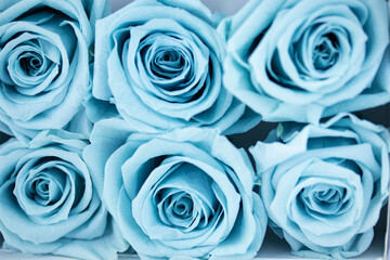 プリザーブドフラワーの青いバラの背景