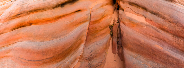 Colorful Swirling Patterns on The Wall of Pastel Canyon On The Kaolin Wash, Valley of Fire State Park, Nevada, USA