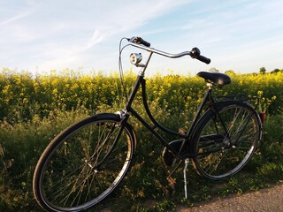 Fototapeta na wymiar Bicicleta Vintage