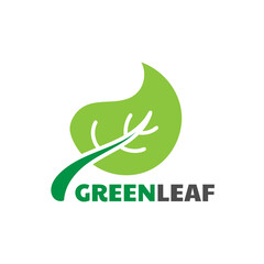 leaf logo design template vector illustration