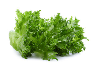 Fototapeta premium Salad leaf. Lettuce isolated on white background.
