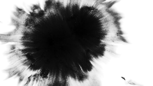 Abstract Ink Drops Spread On Wet Paper