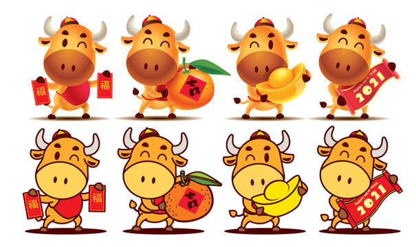 Happy Chinese New Year 2021. Cartoon Ox character series. Cartoon cute Ox character set holding Red Packet, Tangerine Orange, Gold Ingot and Scroll couplet. The year of the Ox. Translation: lucky