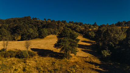 Forest landscape from the heights, taken with a drone, you can see pines, trees, roads and mountains 2