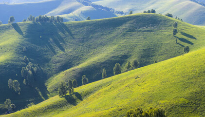 Green hills, meadows and trees