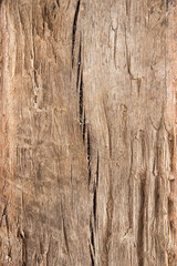 Dark brown wooden surface. wood texture background