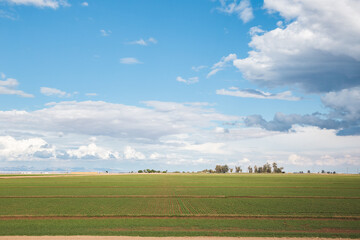 Agricultural farm in Westmorland, California