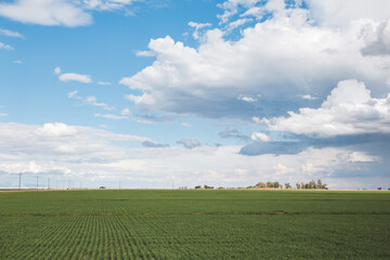 Clouds above agricultural farmland in Westmorland, California